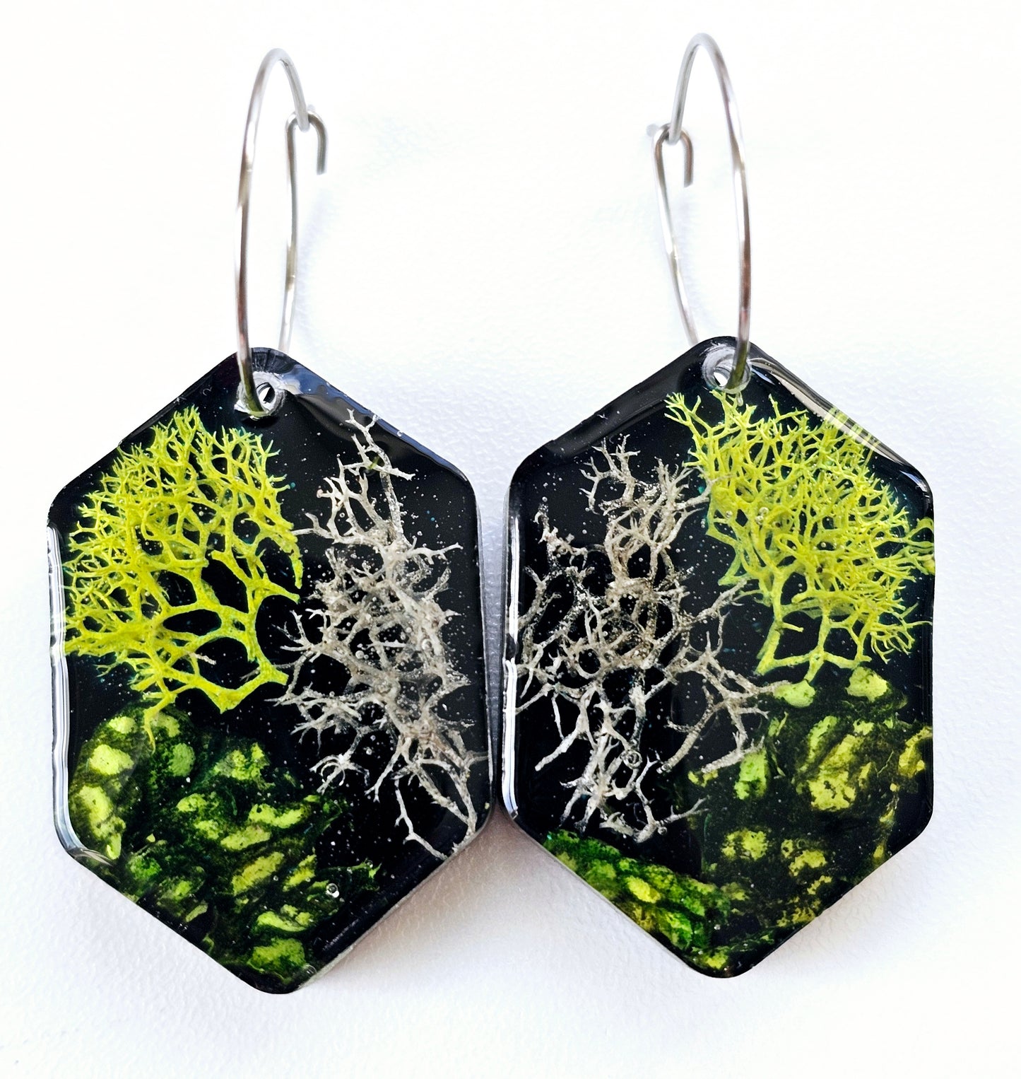 Preserved Moss Earrings - Hexagon