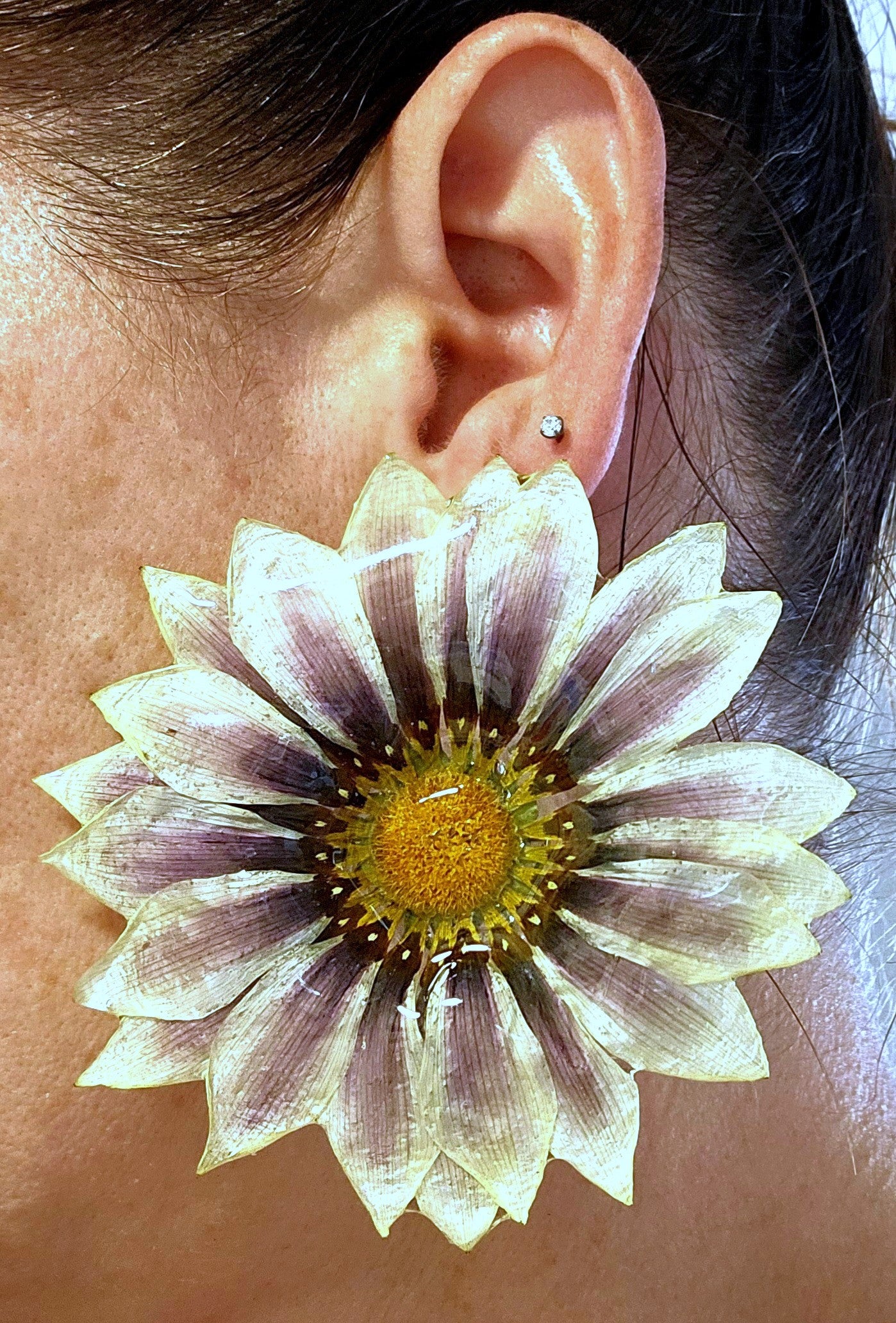 Gazania Stud Earrings