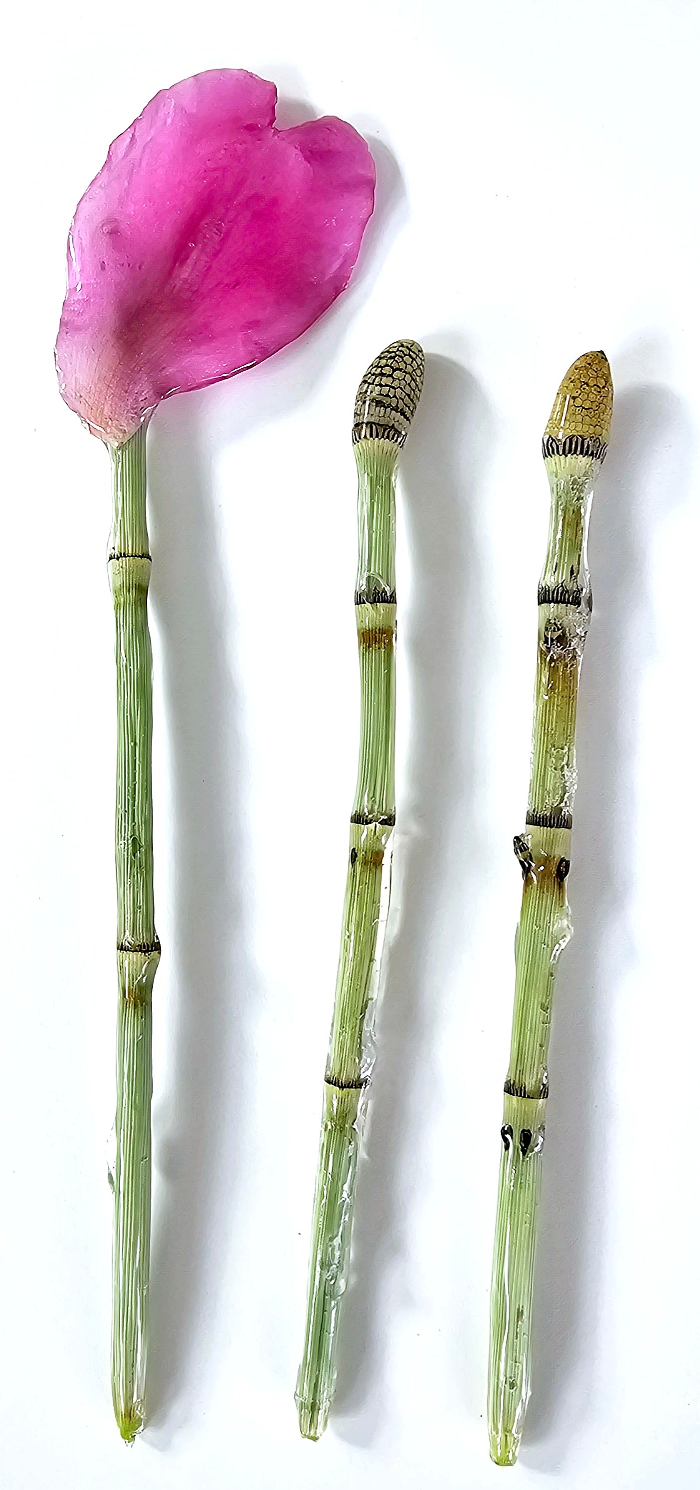 Peony and Horsetail Hair Sticks
