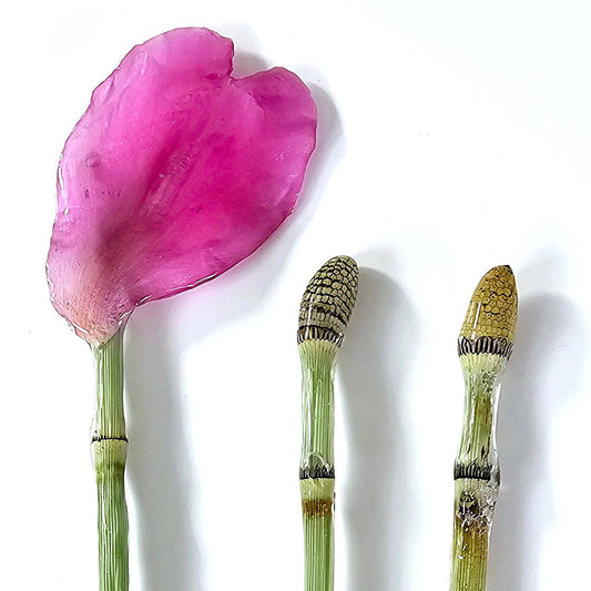 Peony and Horsetail Hair Sticks