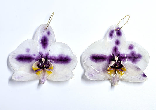 Purple and White Orchid Earrings