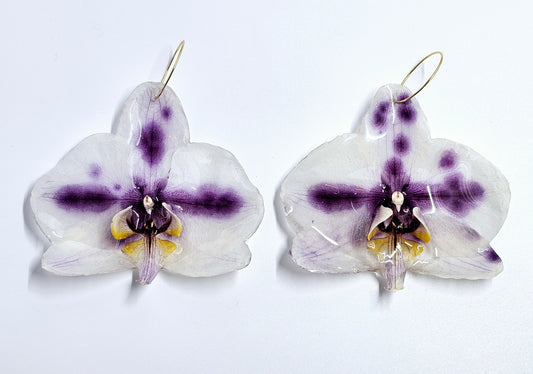 Purple and White Orchid Earrings